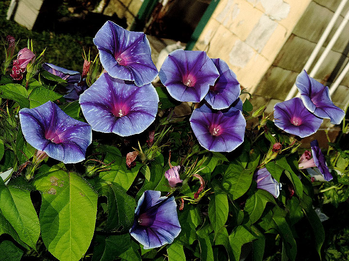 4DSCN2627