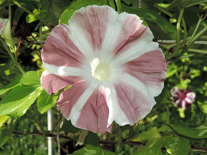 4DSCN6141