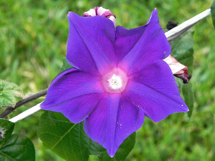 4DSCN8846