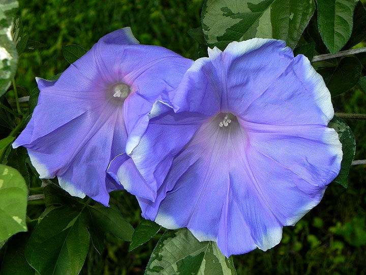 5DSCN0331