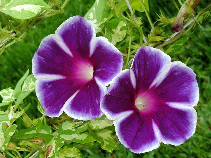 5DSCN1345