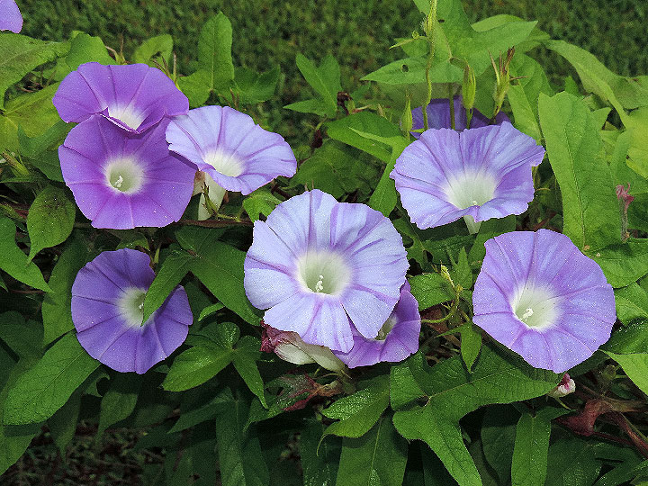 5DSCN2946