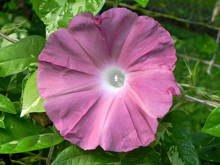 5DSCN5314_01