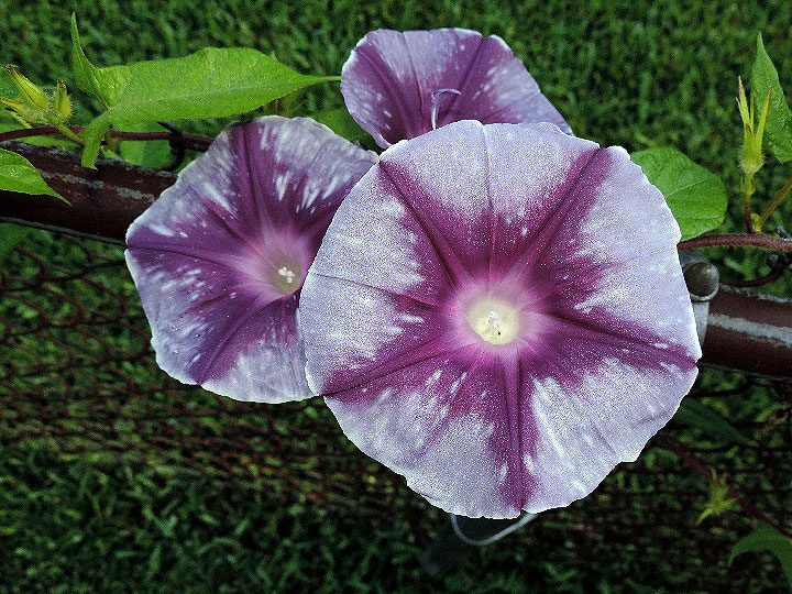 5DSCN5692_02