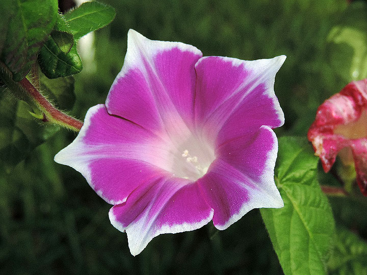 5DSCN7398_01