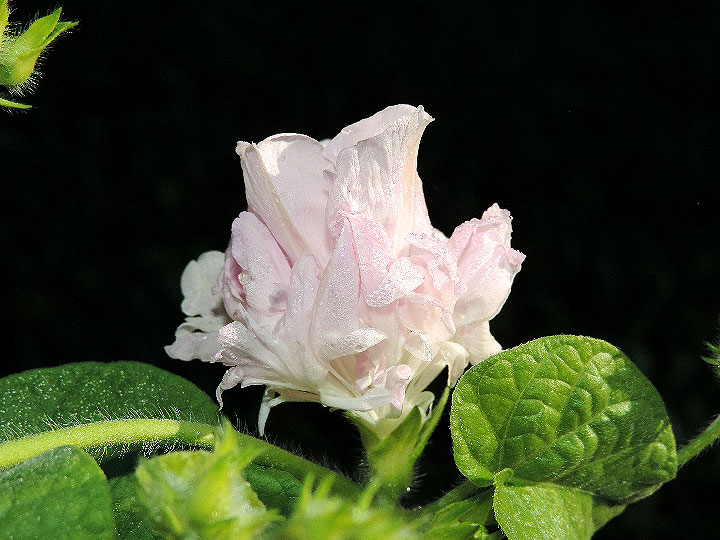6DSCN0228