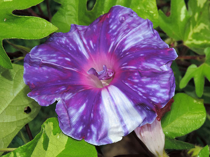 6DSCN2858