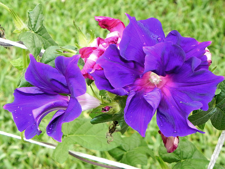 6DSCN4906_01