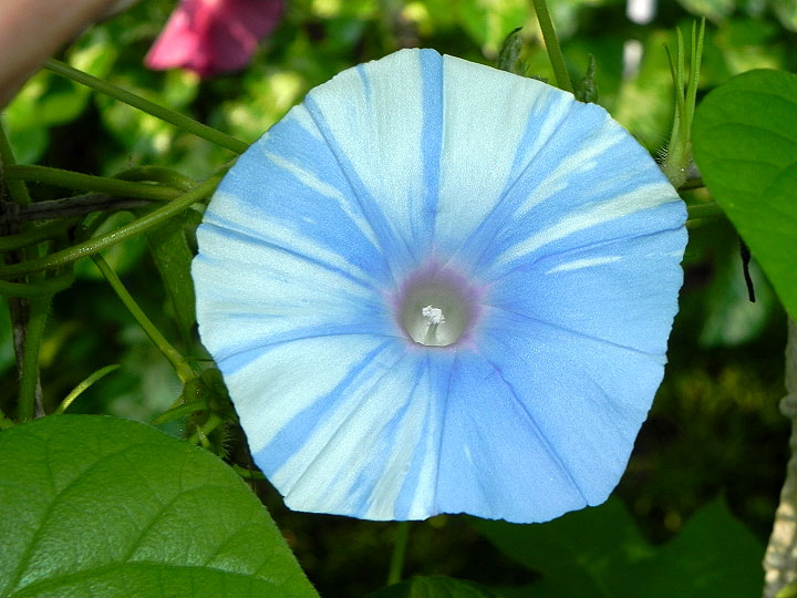 6DSCN5958
