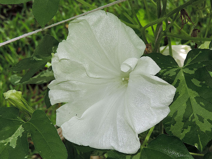 DSCN0104