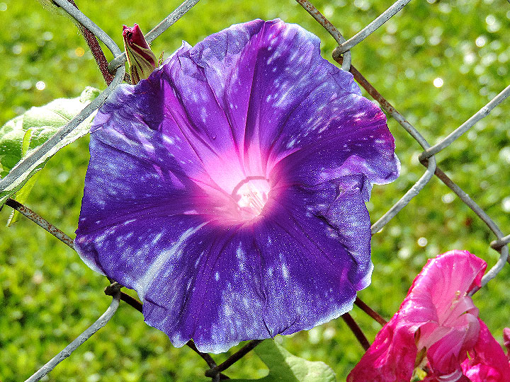 DSCN0139