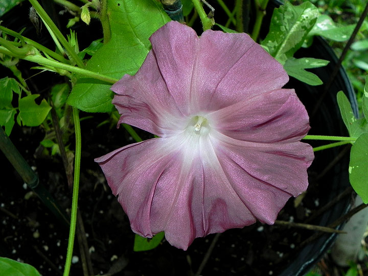 DSCN0170
