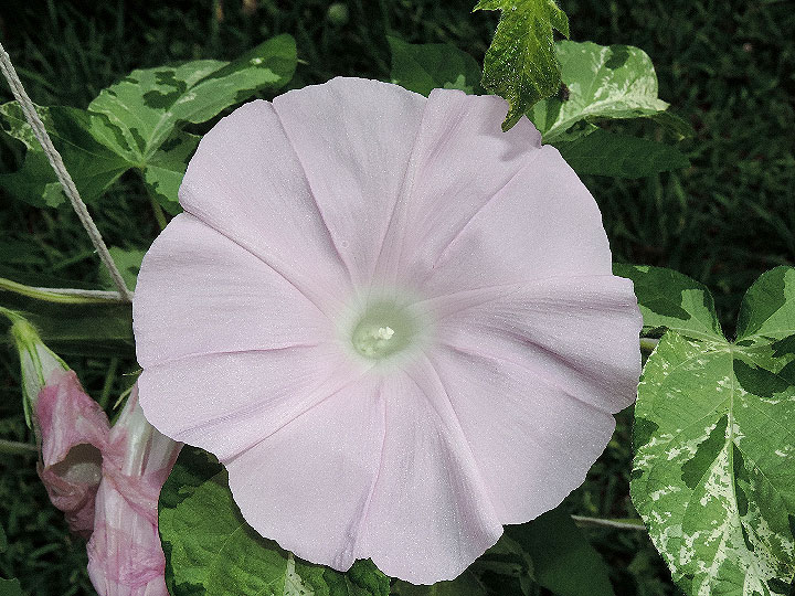 DSCN0178
