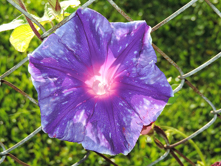 DSCN0230