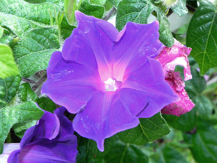 DSCN0244