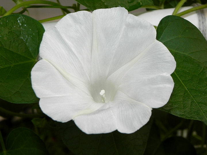 DSCN0260