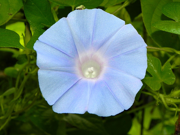 DSCN0301