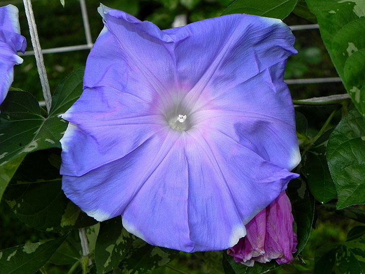DSCN0329