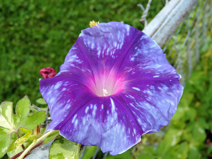 DSCN0422