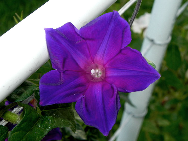DSCN0441