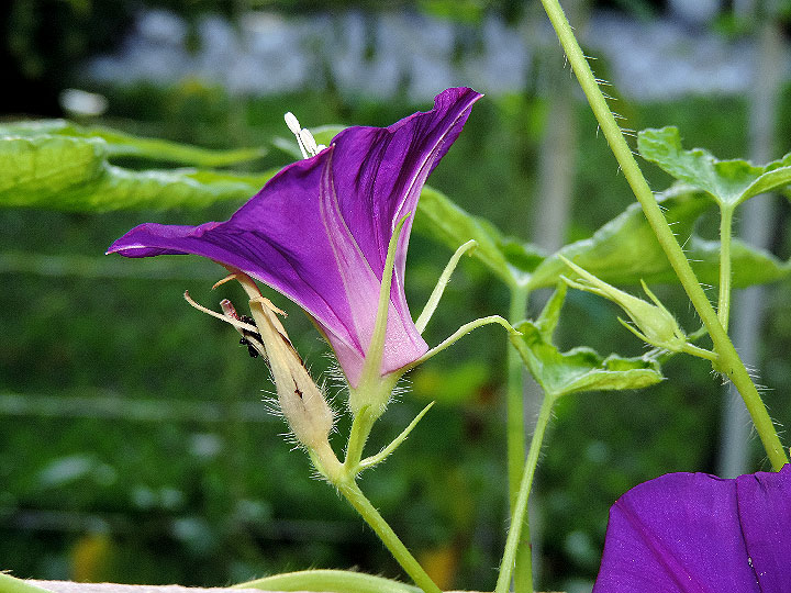 DSCN0471