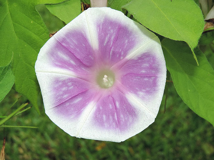 DSCN0573