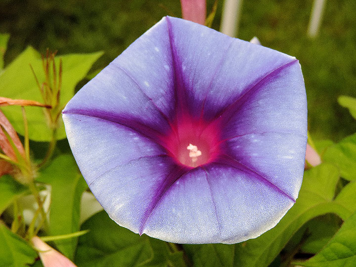 DSCN0610