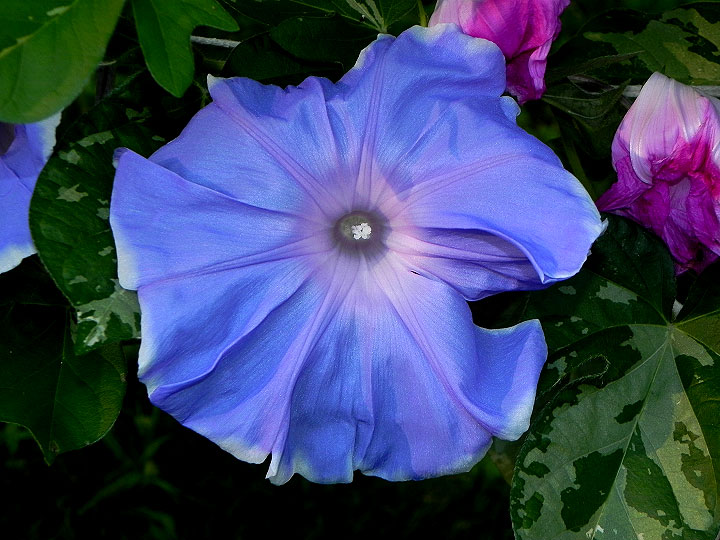 DSCN0616