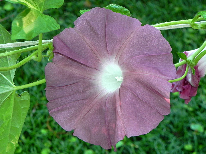 DSCN0635_01