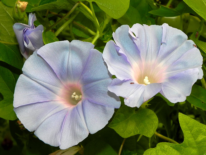 DSCN0640_01