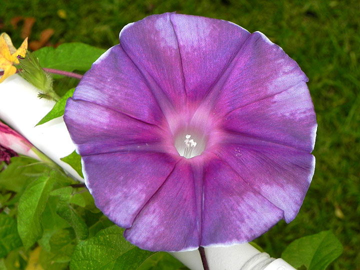 DSCN0643