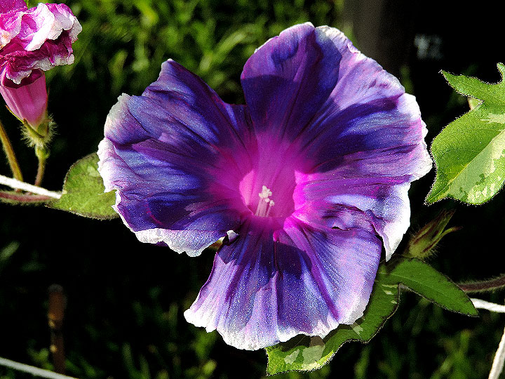 DSCN0734