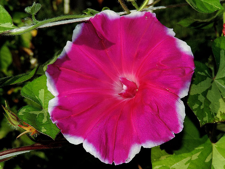 DSCN0740