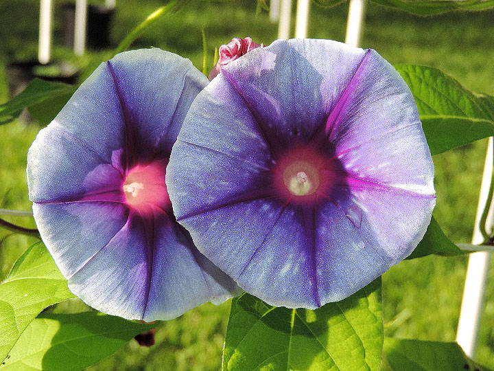 DSCN0753