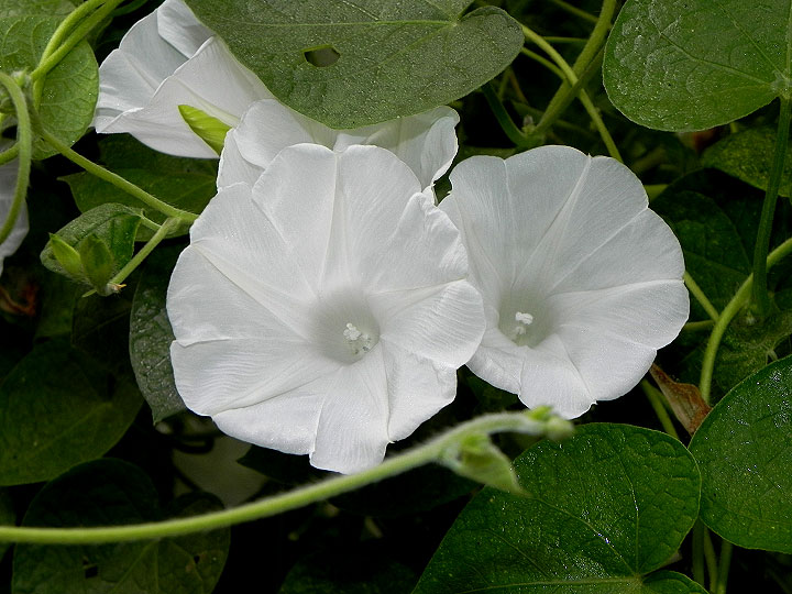 DSCN0765