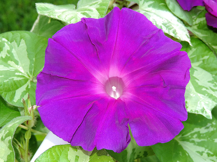 DSCN0831