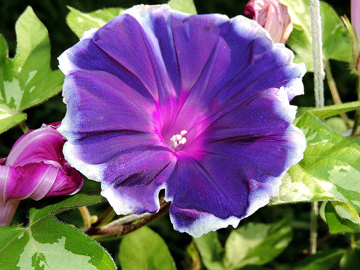DSCN0845_01
