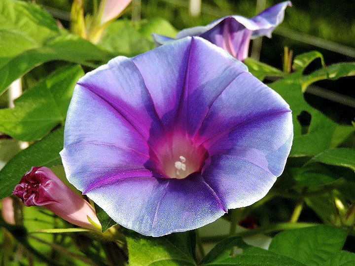 DSCN0862