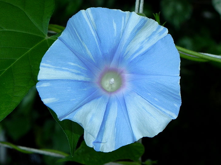 DSCN0869