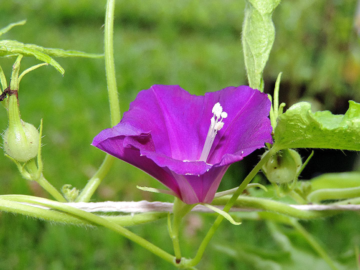 DSCN0921