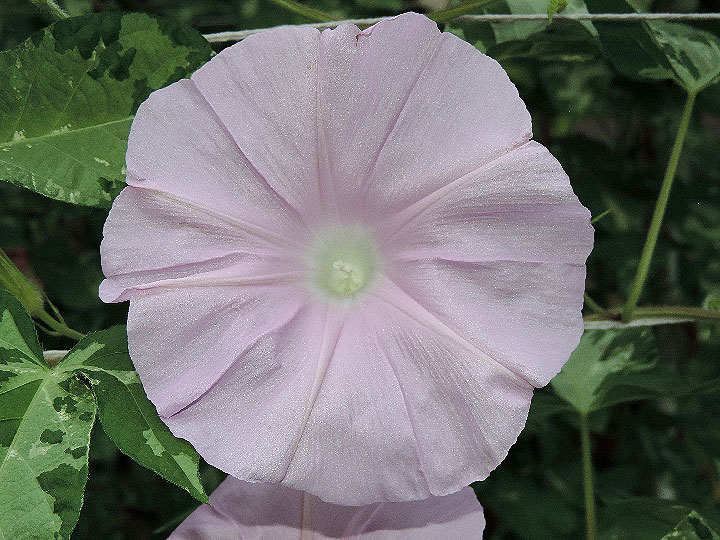 DSCN0927