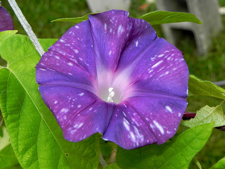 DSCN1026