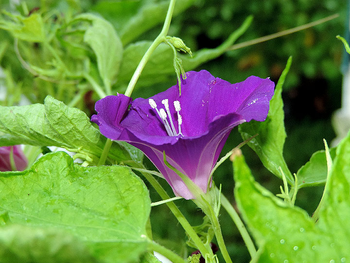 DSCN1046