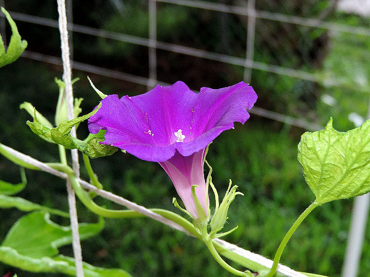 DSCN1047