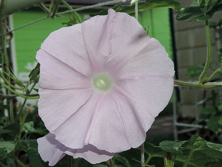 DSCN1053