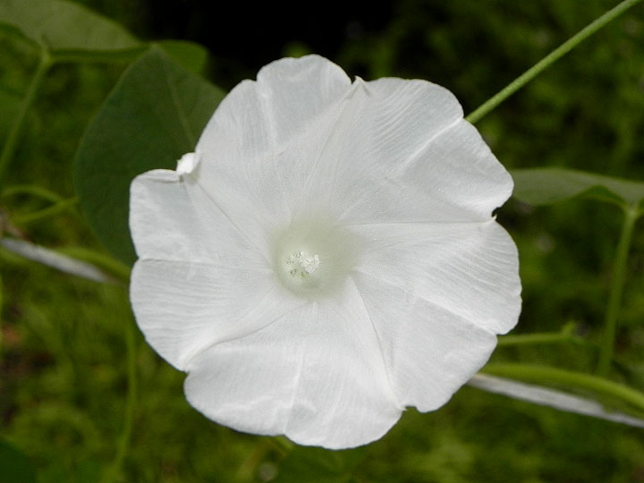 DSCN1058