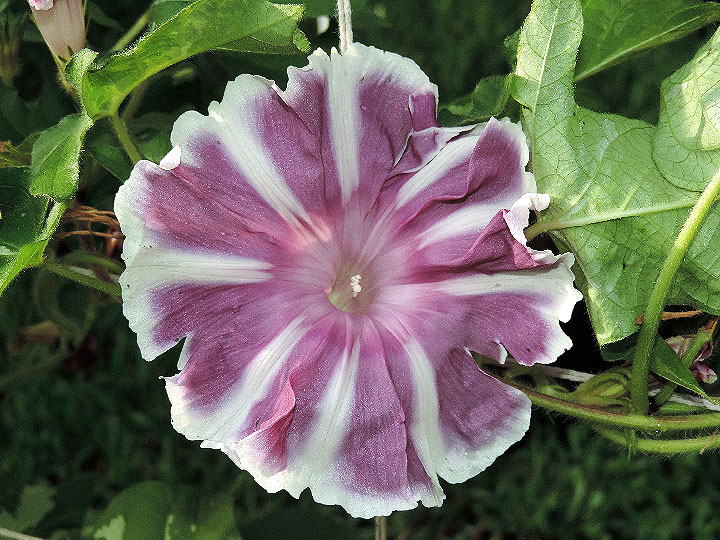 DSCN1105