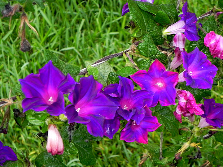 DSCN1108