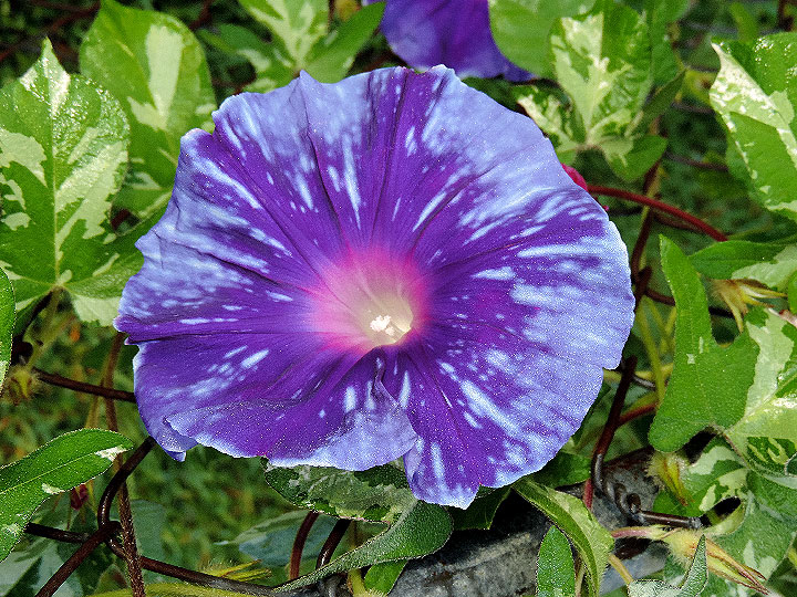 DSCN1120