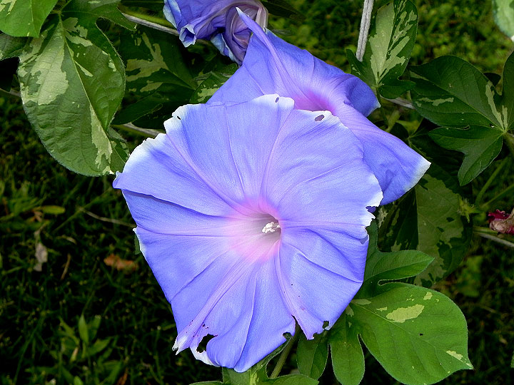 DSCN1177